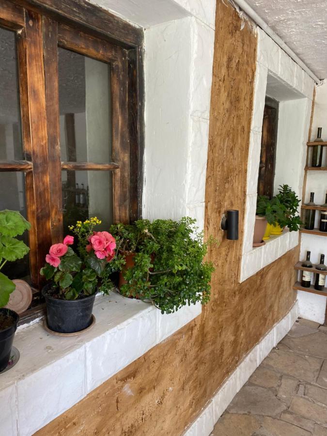 Elegaya Guest House 이제반 외부 사진